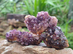 Natural Amethystos Amethyst Clusters x 35 From Kwaggafontein, South Africa - Toprock Gemstones and Minerals 