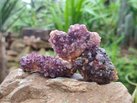 Natural Amethystos Amethyst Clusters x 35 From Kwaggafontein, South Africa
