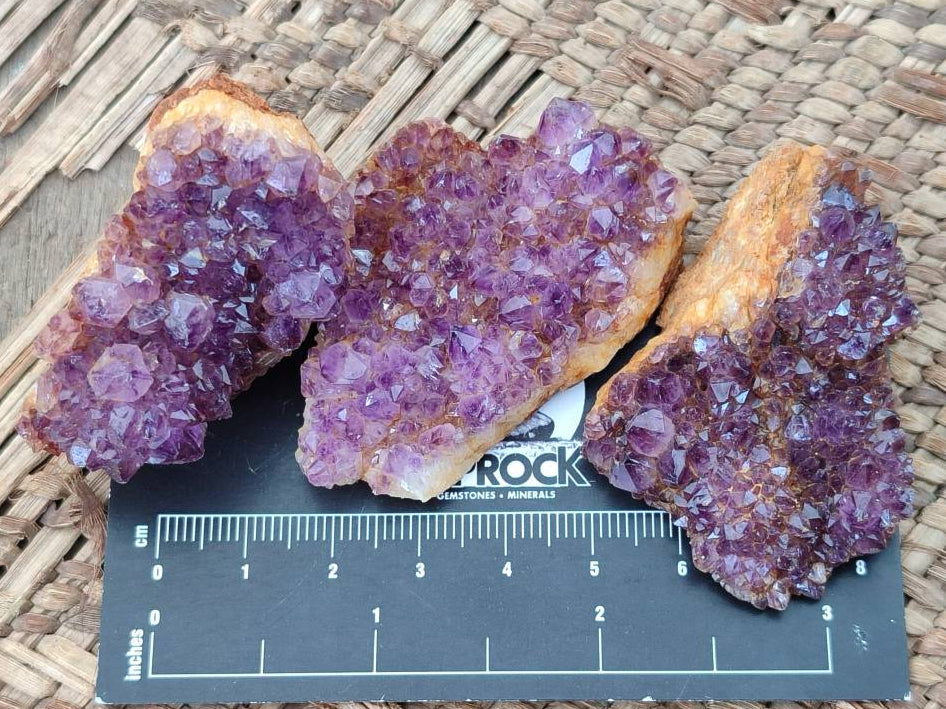 Natural Amethystos Amethyst Clusters x 35 From Kwaggafontein, South Africa - Toprock Gemstones and Minerals 