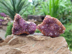 Natural Amethystos Amethyst Clusters x 35 From Kwaggafontein, South Africa - Toprock Gemstones and Minerals 