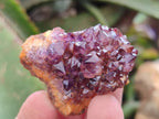 Natural Amethystos Amethyst Clusters x 35 From Kwaggafontein, South Africa - Toprock Gemstones and Minerals 