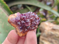 Natural Amethystos Amethyst Clusters x 35 From Kwaggafontein, South Africa