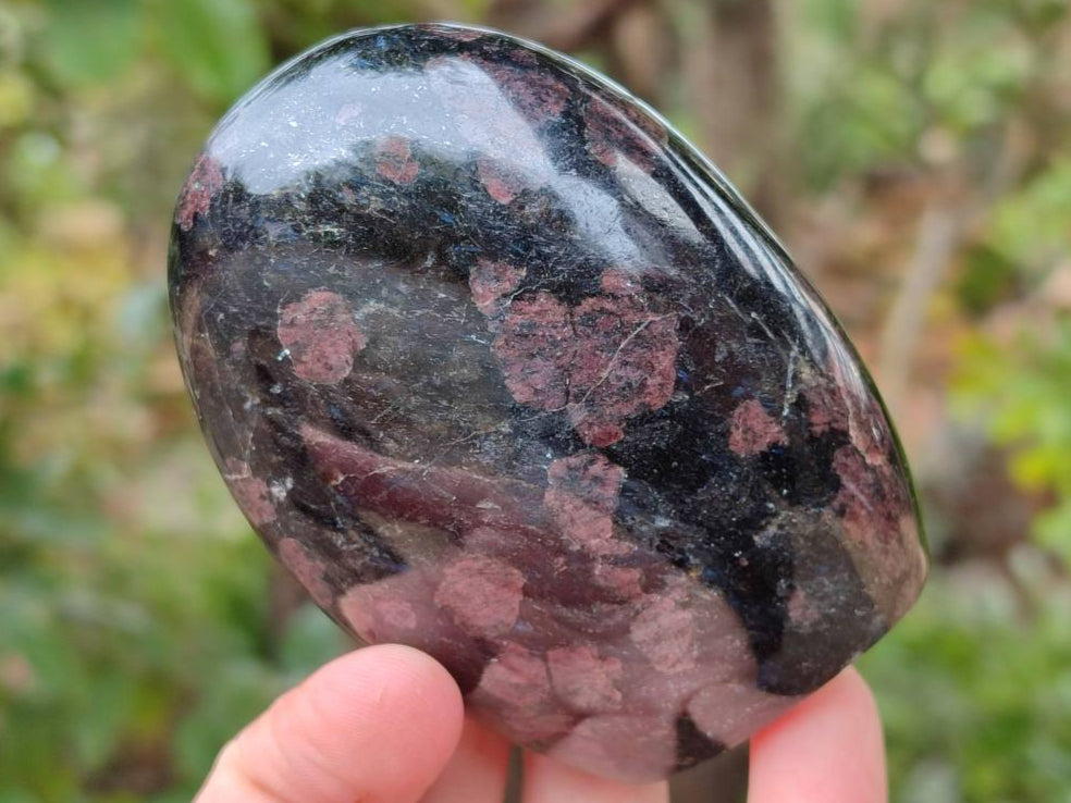 Polished Blue Speck Iolite Water Sapphire Standing Free Forms x 3 From Ambatofinandrahana, Madagascar - Toprock Gemstones and Minerals 