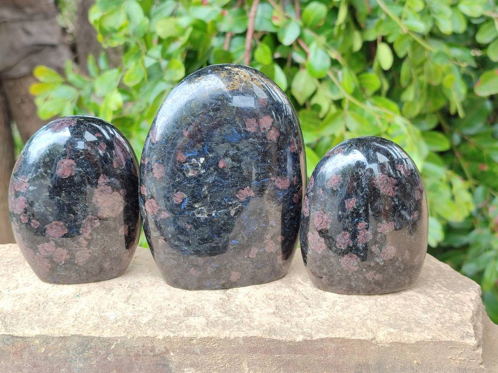 Polished Blue Speck Iolite Water Sapphire Standing Free Forms x 3 From Ambatofinandrahana, Madagascar - Toprock Gemstones and Minerals 