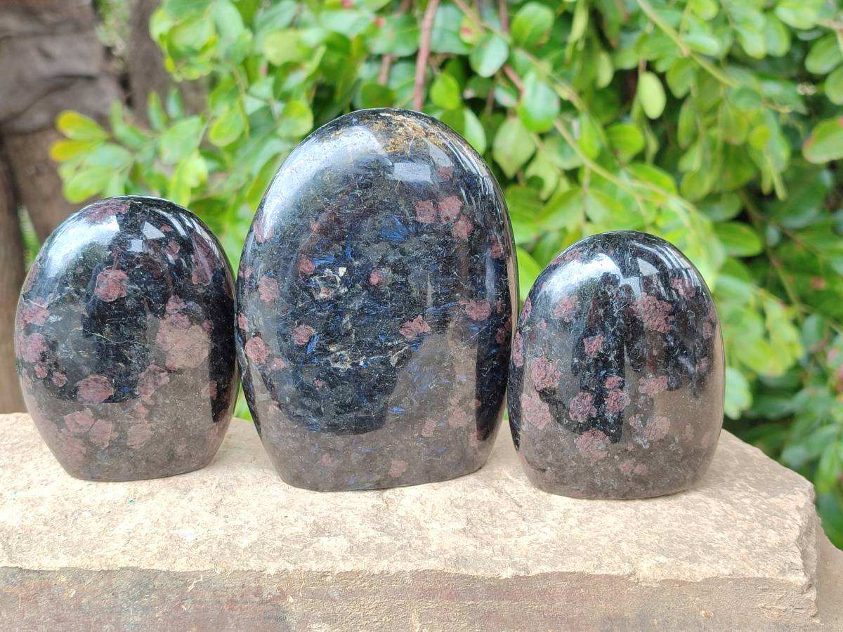 Polished Blue Speck Iolite Water Sapphire Standing Free Forms x 3 From Ambatofinandrahana, Madagascar - Toprock Gemstones and Minerals 