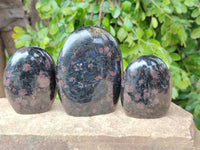 Polished Blue Speck Iolite Water Sapphire Standing Free Forms x 3 From Ambatofinandrahana, Madagascar