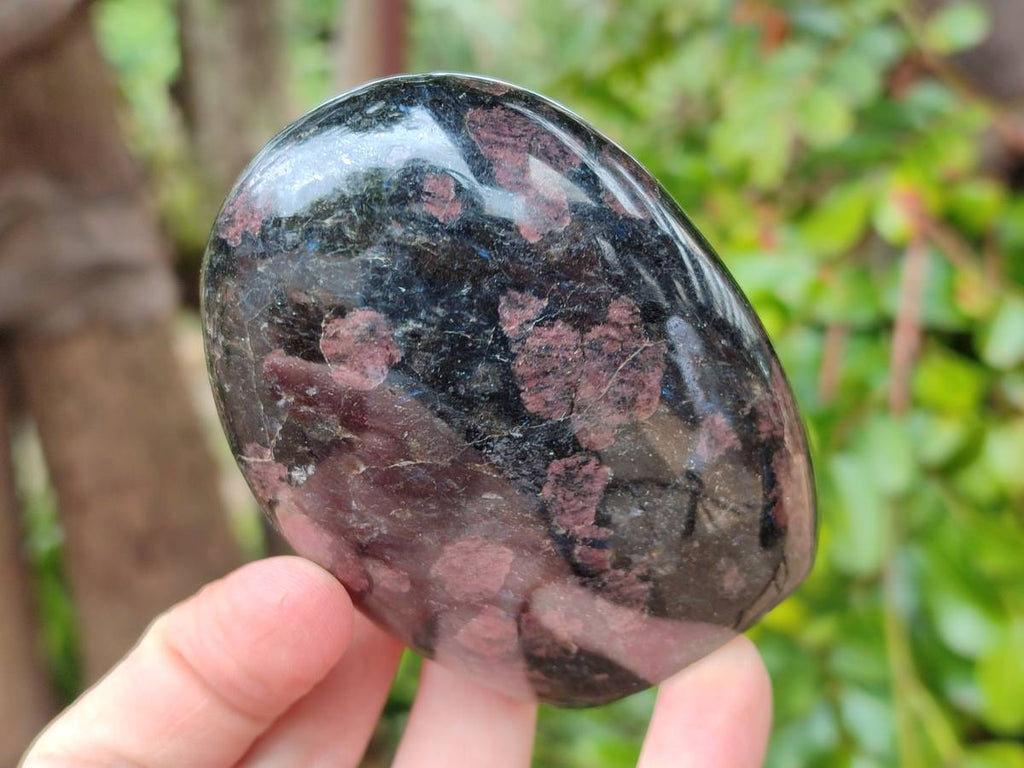 Polished Blue Speck Iolite Water Sapphire Standing Free Forms x 3 From Ambatofinandrahana, Madagascar - Toprock Gemstones and Minerals 