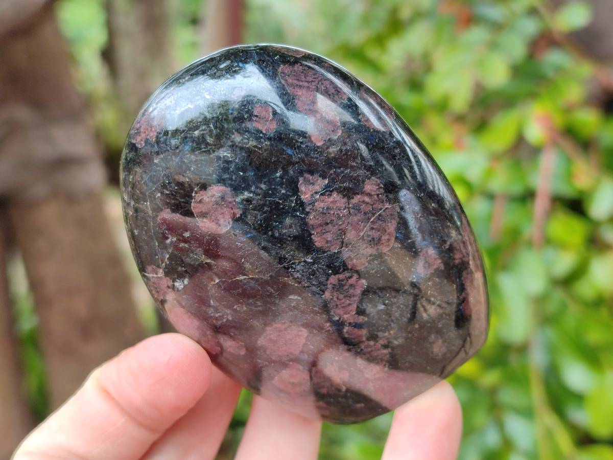 Polished Blue Speck Iolite Water Sapphire Standing Free Forms x 3 From Ambatofinandrahana, Madagascar - Toprock Gemstones and Minerals 