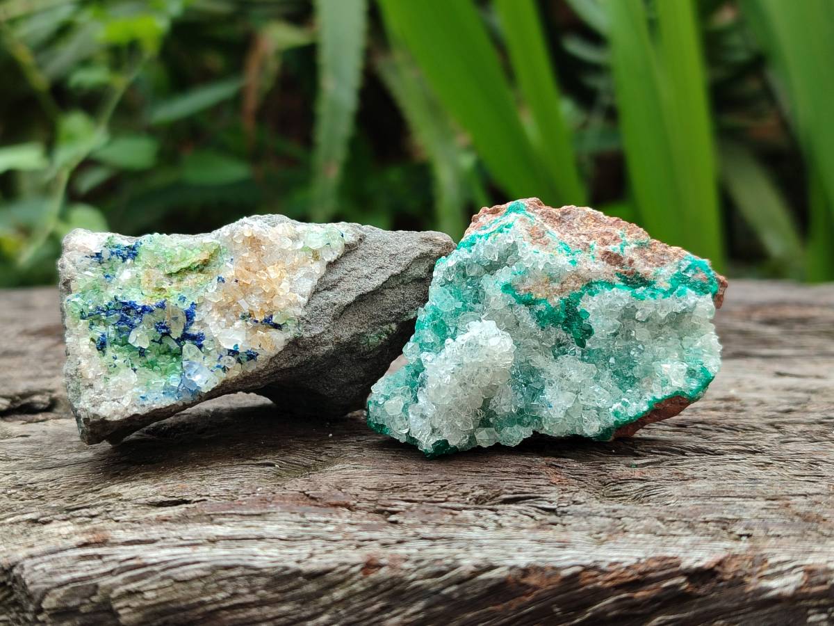 Natural Drusy Coated Chrysocolla With Malachite Specimens x 11 From Lupoto Mine, Congo - Toprock Gemstones and Minerals 