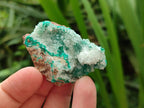 Natural Drusy Coated Chrysocolla With Malachite Specimens x 11 From Lupoto Mine, Congo - Toprock Gemstones and Minerals 