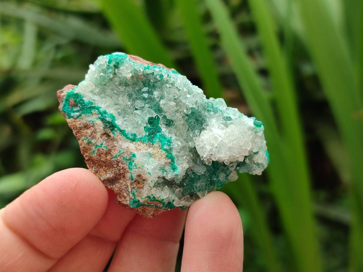 Natural Drusy Coated Chrysocolla With Malachite Specimens x 11 From Lupoto Mine, Congo - Toprock Gemstones and Minerals 