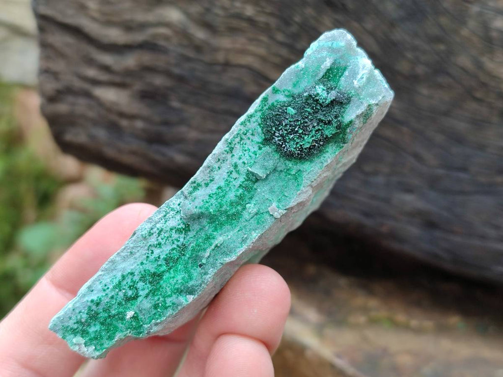 Natural Drusy Coated Chrysocolla With Malachite Specimens x 11 From Lupoto Mine, Congo - Toprock Gemstones and Minerals 