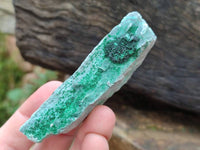 Natural Drusy Coated Chrysocolla With Malachite Specimens x 11 From Lupoto Mine, Congo