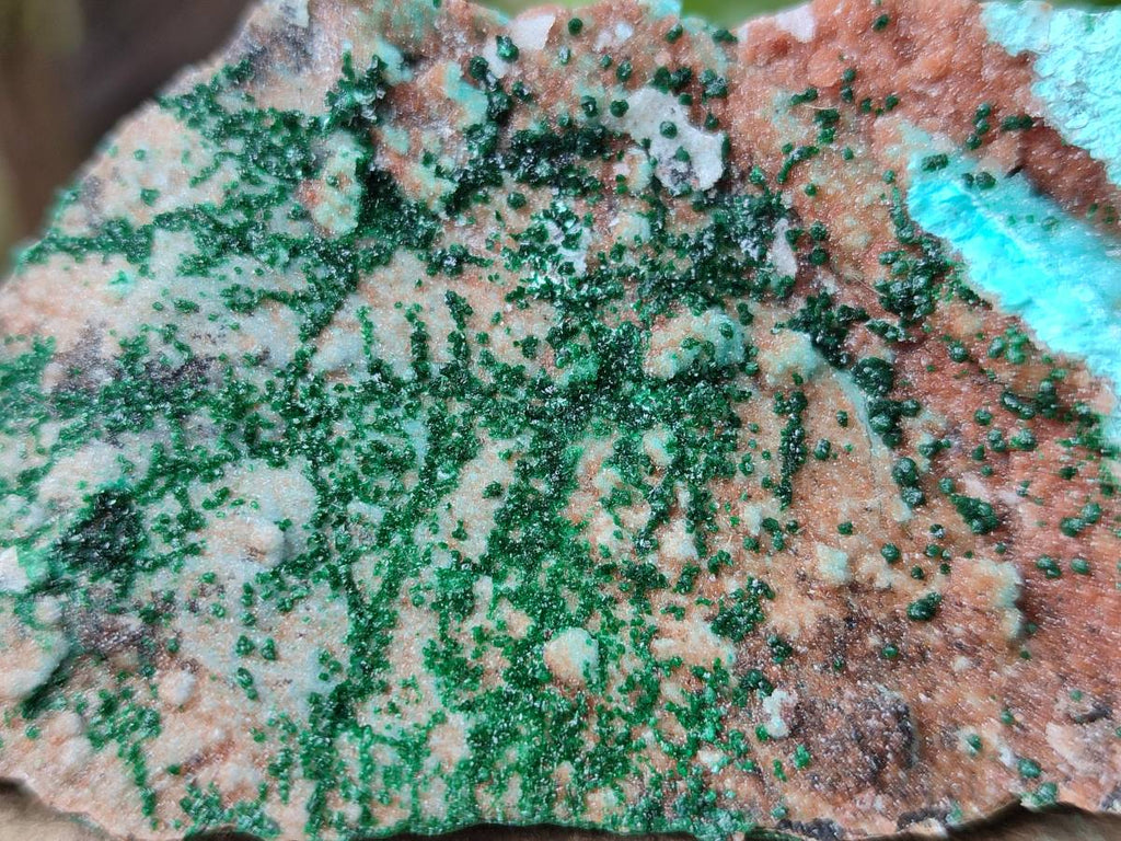Natural Drusy Coated Chrysocolla With Malachite Specimens x 11 From Lupoto Mine, Congo - Toprock Gemstones and Minerals 