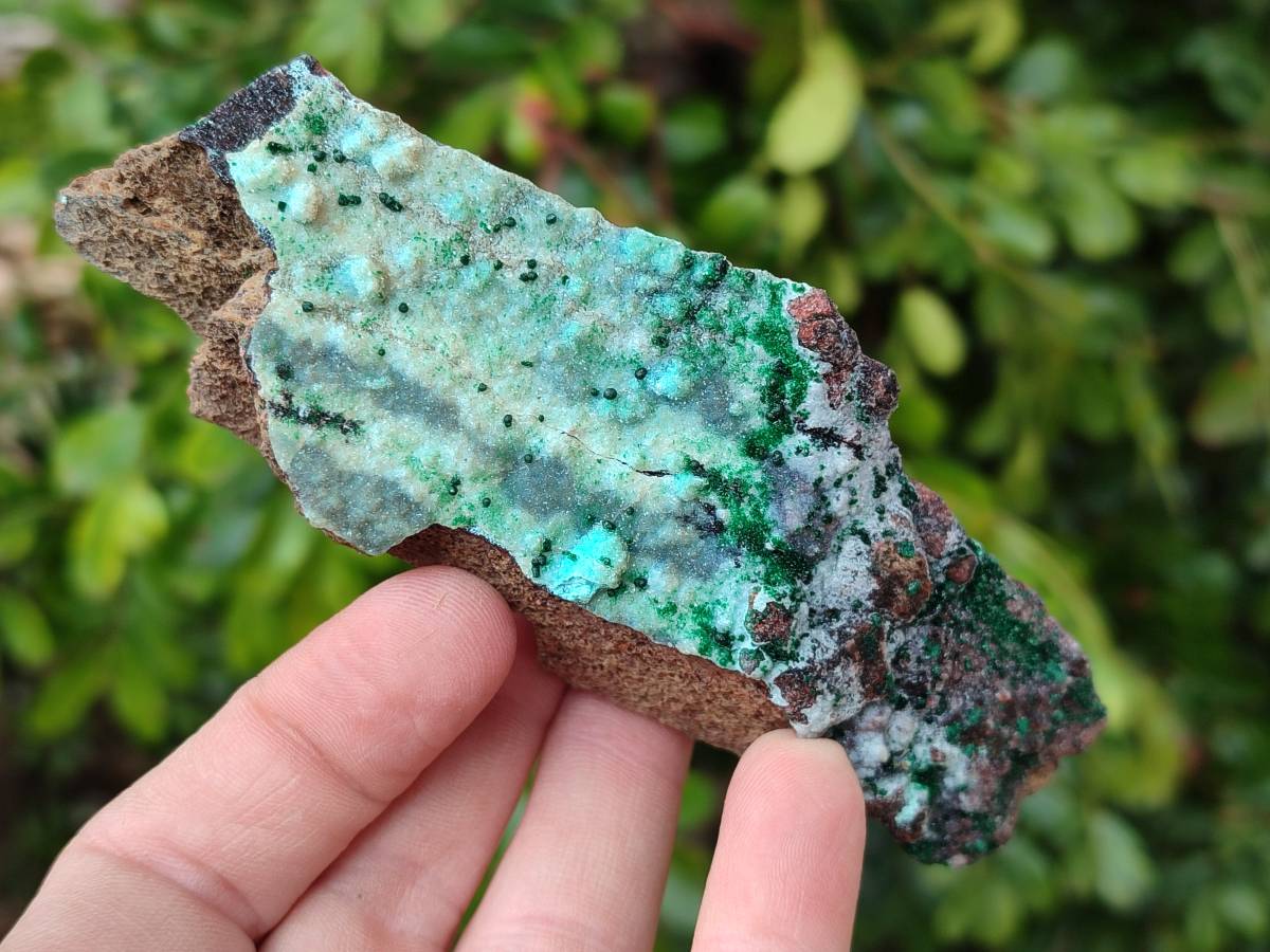 Natural Drusy Coated Chrysocolla With Malachite Specimens x 11 From Lupoto Mine, Congo - Toprock Gemstones and Minerals 