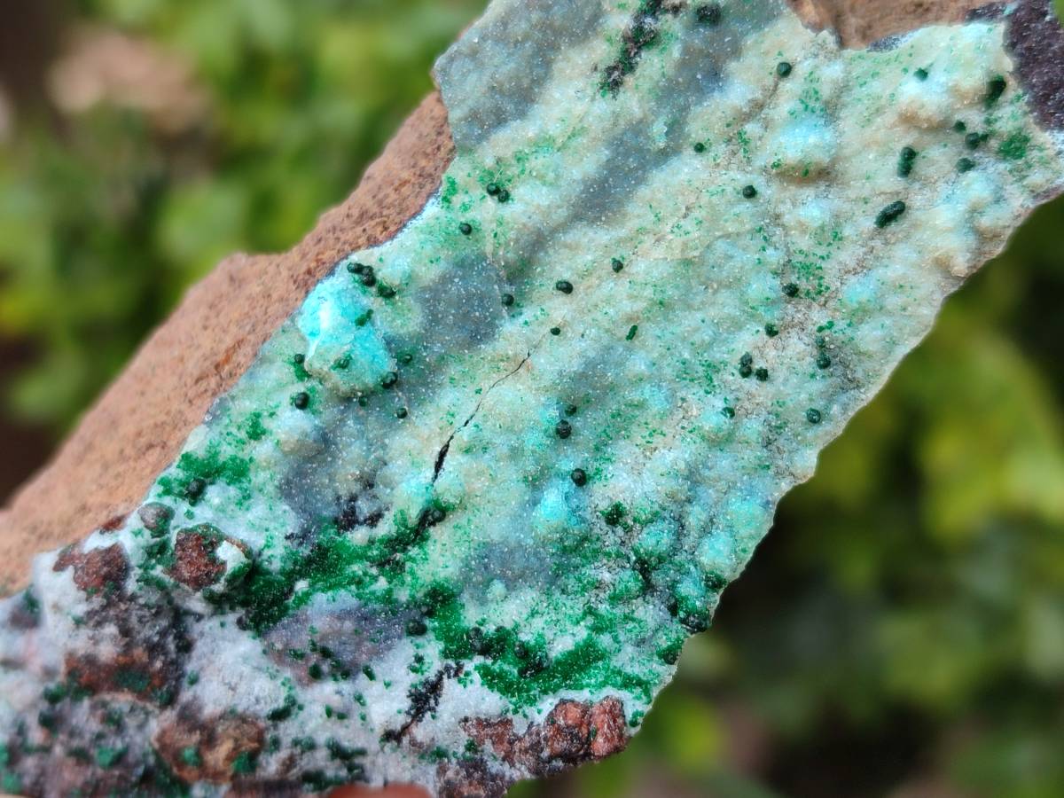 Natural Drusy Coated Chrysocolla With Malachite Specimens x 11 From Lupoto Mine, Congo - Toprock Gemstones and Minerals 