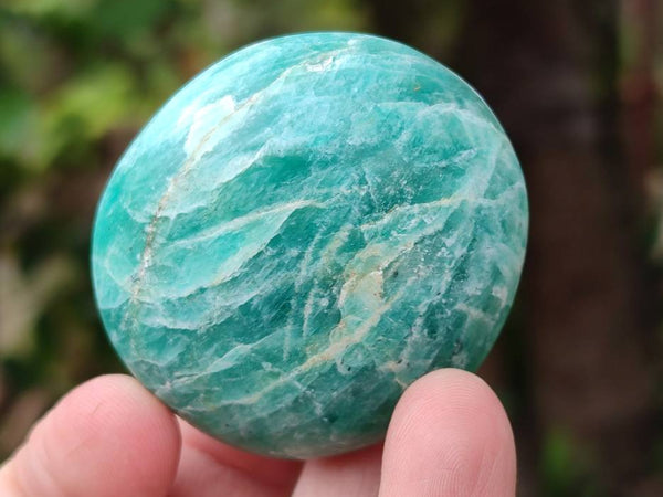 Polished Amazonite Palm Stones x 24 From Madagascar