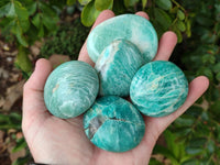 Polished Amazonite Palm Stones x 24 From Madagascar