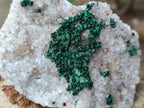 Natural Crystalline Ball Malachite and Quartz On Dolomite Matrix Specimens x 3 From Mindingi Mine, Kambove, Congo - Toprock Gemstones and Minerals 