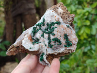 Natural Crystalline Ball Malachite and Quartz On Dolomite Matrix Specimens x 3 From Mindingi Mine, Kambove, Congo
