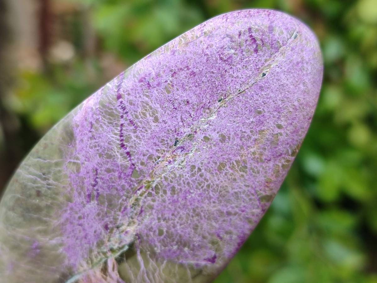 Polished Stichtite Standing Free Forms x 6 From Barberton, South Africa - Toprock Gemstones and Minerals 