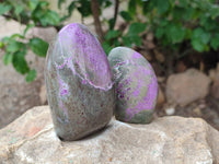 Polished Stichtite Standing Free Forms x 6 From Barberton, South Africa