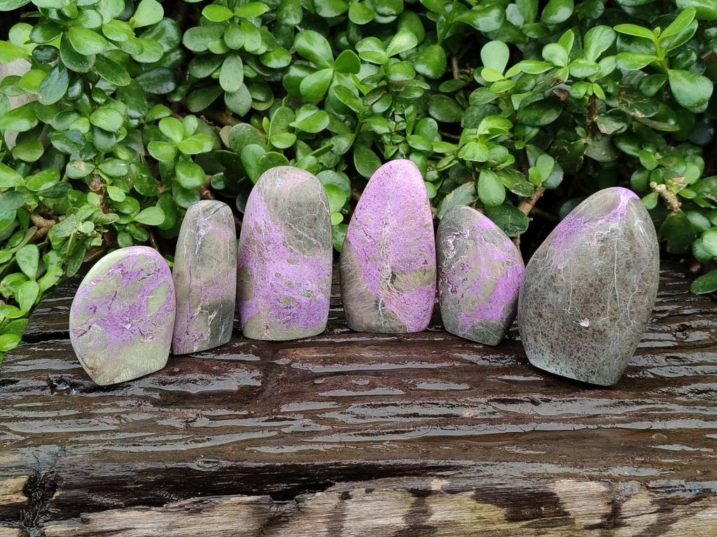 Polished Stichtite Standing Free Forms x 6 From Barberton, South Africa - Toprock Gemstones and Minerals 