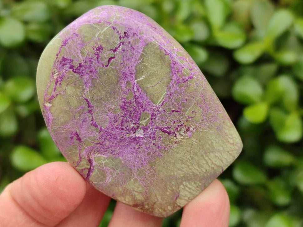 Polished Stichtite Standing Free Forms x 6 From Barberton, South Africa - Toprock Gemstones and Minerals 