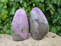 Polished Stichtite Standing Free Forms x 6 From Barberton, South Africa