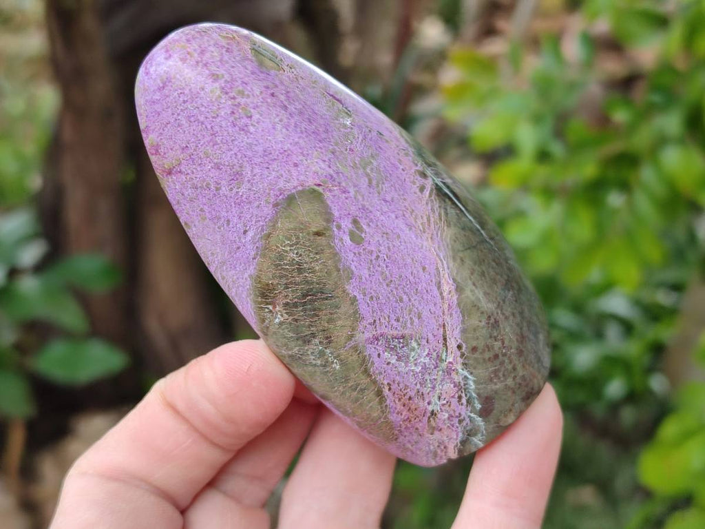 Polished Stichtite Standing Free Forms x 6 From Barberton, South Africa - Toprock Gemstones and Minerals 