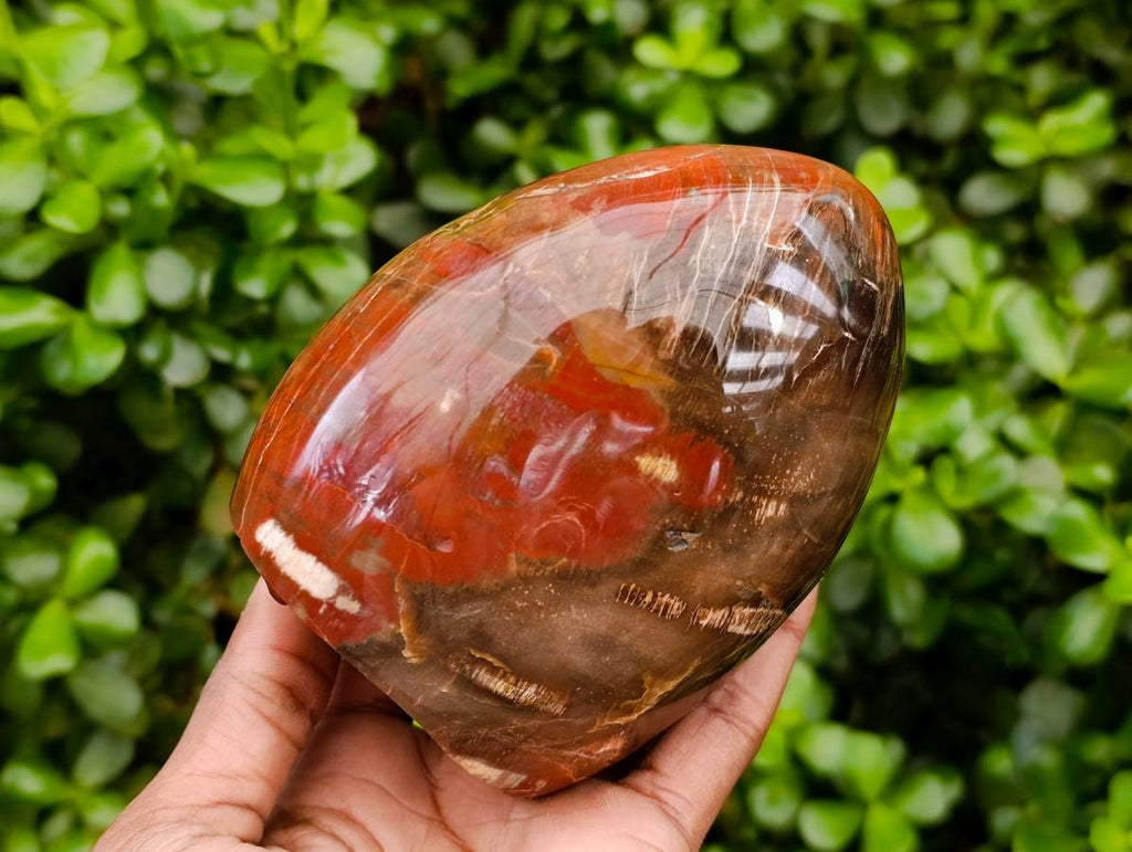 Polished Red Podocarpus Petrified Wood Standing Free Forms x 2 From Mahajanga, Madagascar - Toprock Gemstones and Minerals 