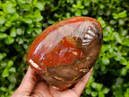 Polished Red Podocarpus Petrified Wood Standing Free Forms x 2 From Mahajanga, Madagascar - Toprock Gemstones and Minerals 