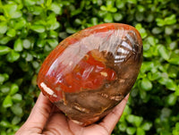Polished Red Podocarpus Petrified Wood Standing Free Forms x 2 From Mahajanga, Madagascar