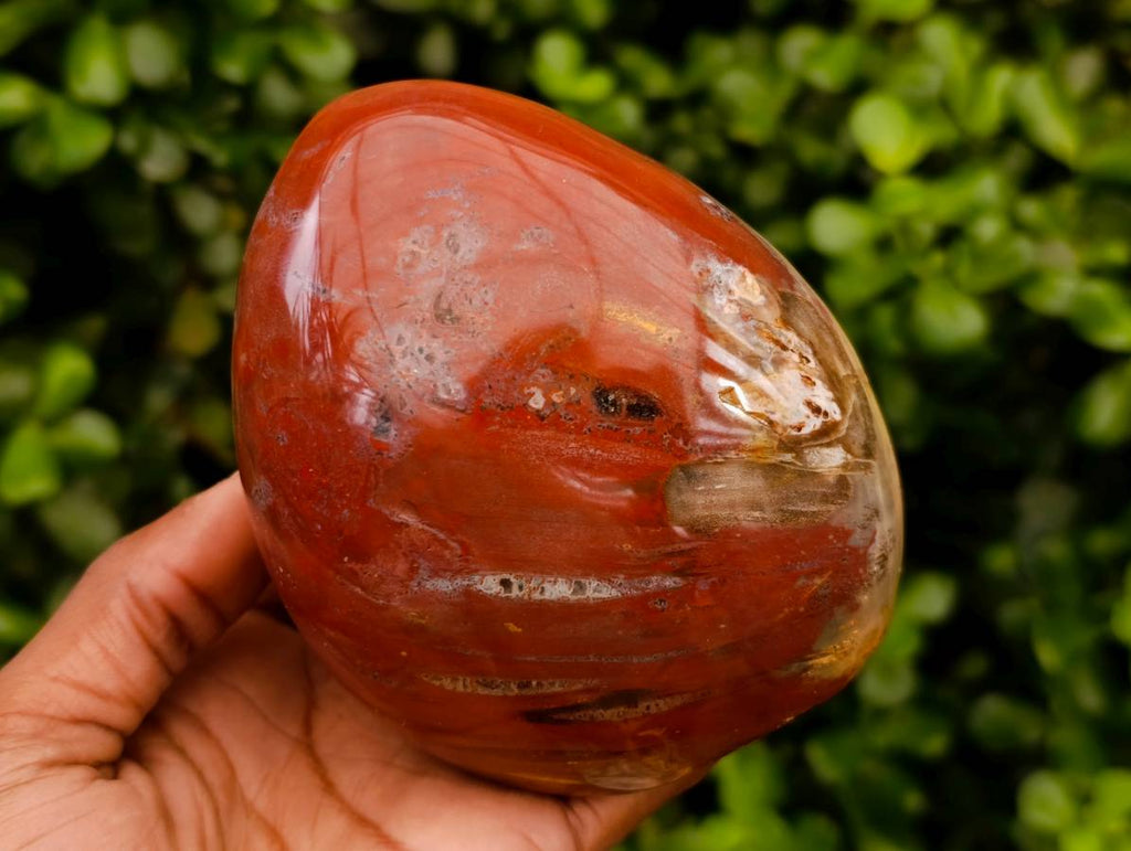 Polished Red Podocarpus Petrified Wood Standing Free Forms x 2 From Mahajanga, Madagascar - Toprock Gemstones and Minerals 