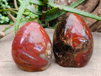 Polished Red Podocarpus Petrified Wood Standing Free Forms x 2 From Mahajanga, Madagascar - Toprock Gemstones and Minerals 