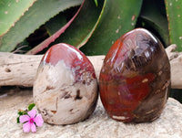 Polished Red Podocarpus Petrified Wood Standing Free Forms x 2 From Mahajanga, Madagascar