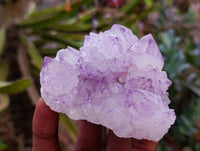 Natural Sunburst Spirit Amethyst Quartz Clusters x 4 From Boekenhouthoek, South Africa