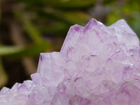 Natural Sunburst Spirit Amethyst Quartz Clusters x 4 From Boekenhouthoek, South Africa