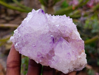 Natural Sunburst Spirit Amethyst Quartz Clusters x 4 From Boekenhouthoek, South Africa