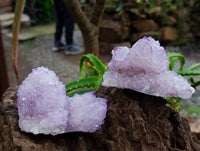 Natural Sunburst Spirit Amethyst Quartz Clusters x 4 From Boekenhouthoek, South Africa