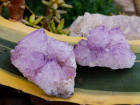 Natural Sunburst Spirit Amethyst Quartz Clusters x 4 From Boekenhouthoek, South Africa
