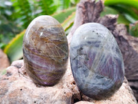 Polished Purple Flash Labradorite Galets x 12 From Tulear, Madagascar