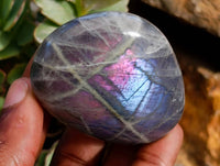 Polished Purple Flash Labradorite Galets x 12 From Tulear, Madagascar - Toprock Gemstones and Minerals 