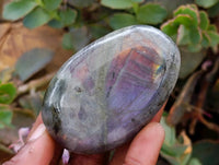 Polished Purple Flash Labradorite Galets x 12 From Tulear, Madagascar