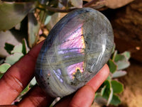 Polished Purple Flash Labradorite Galets x 12 From Tulear, Madagascar - Toprock Gemstones and Minerals 