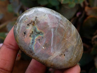 Polished Purple Flash Labradorite Galets x 12 From Tulear, Madagascar