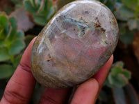 Polished Purple Flash Labradorite Galets x 12 From Tulear, Madagascar