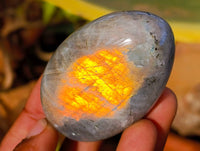 Polished Purple Flash Labradorite Galets x 12 From Tulear, Madagascar - Toprock Gemstones and Minerals 