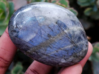 Polished Purple Flash Labradorite Galets x 12 From Tulear, Madagascar