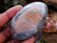 Polished Purple Flash Labradorite Galets x 12 From Tulear, Madagascar